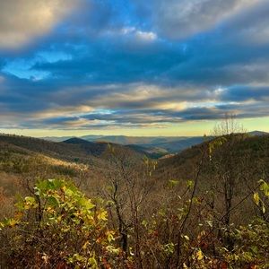 Meet your Posher, Jackson